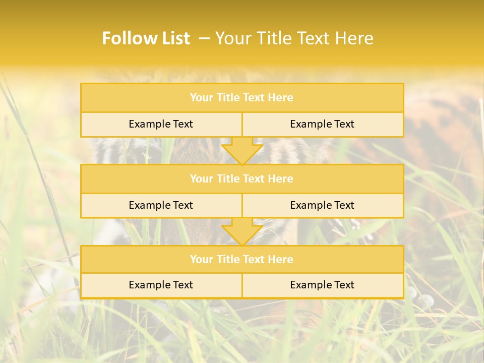 Angry Tigris Dangerous PowerPoint Template