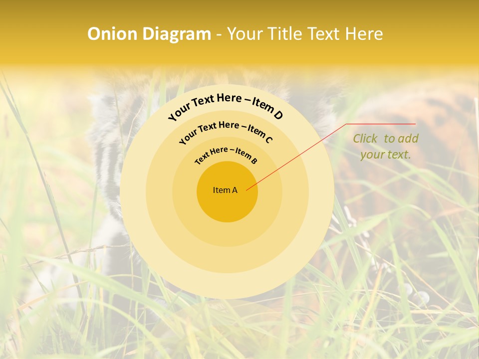 Angry Tigris Dangerous PowerPoint Template