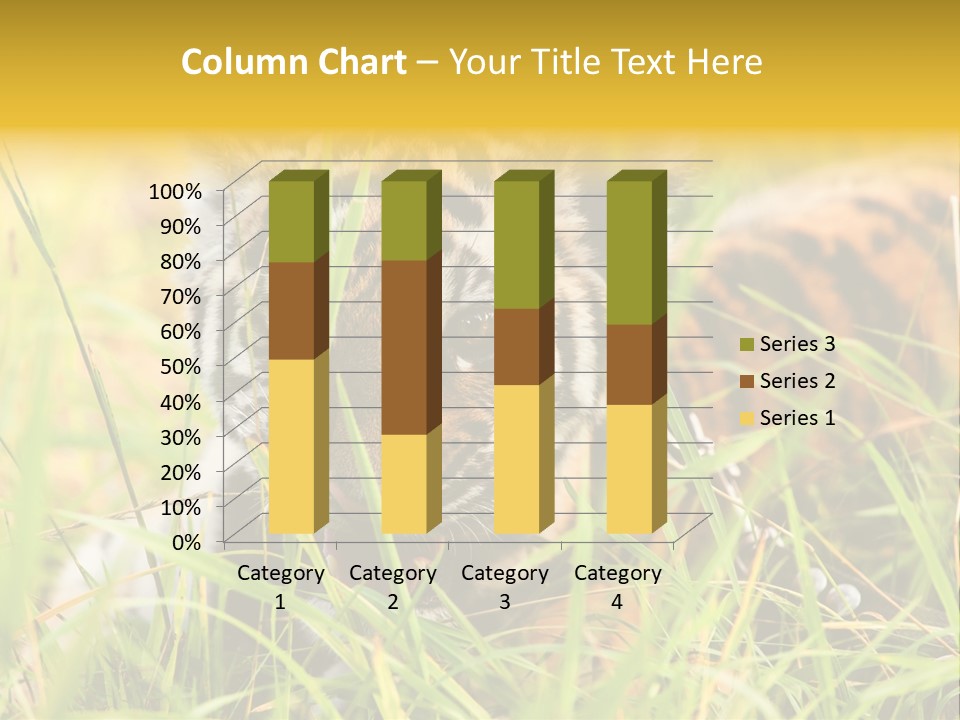 Angry Tigris Dangerous PowerPoint Template