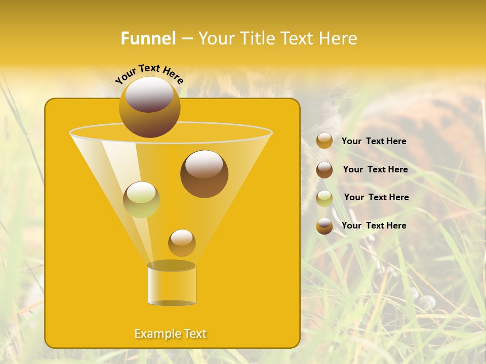 Angry Tigris Dangerous PowerPoint Template