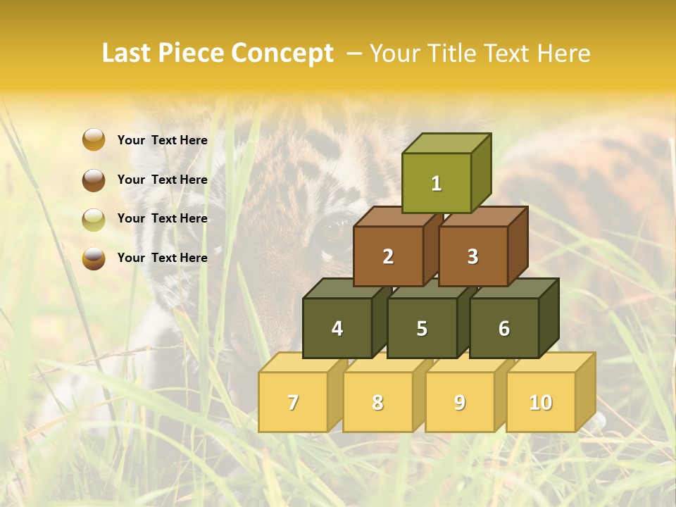 Angry Tigris Dangerous PowerPoint Template
