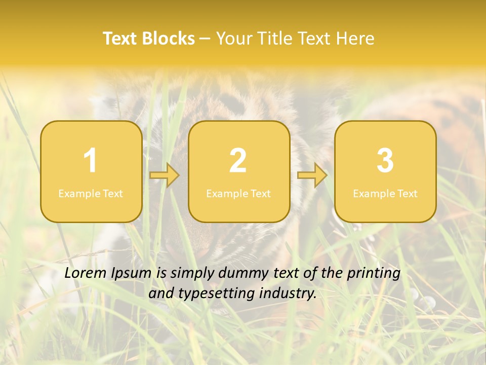 Angry Tigris Dangerous PowerPoint Template
