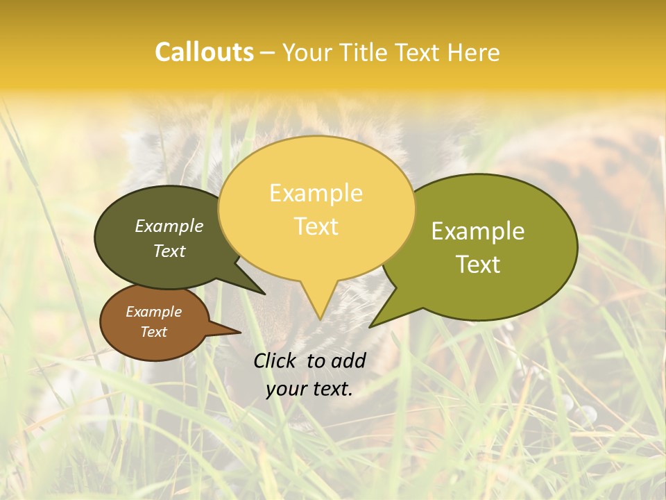 Angry Tigris Dangerous PowerPoint Template