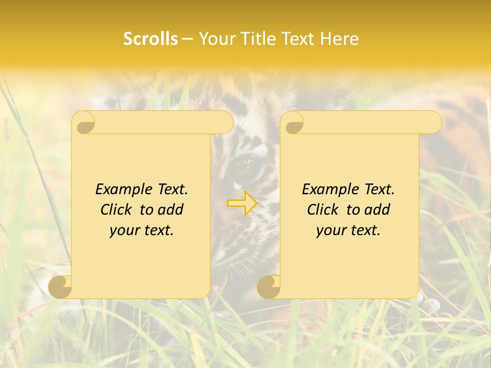 Angry Tigris Dangerous PowerPoint Template