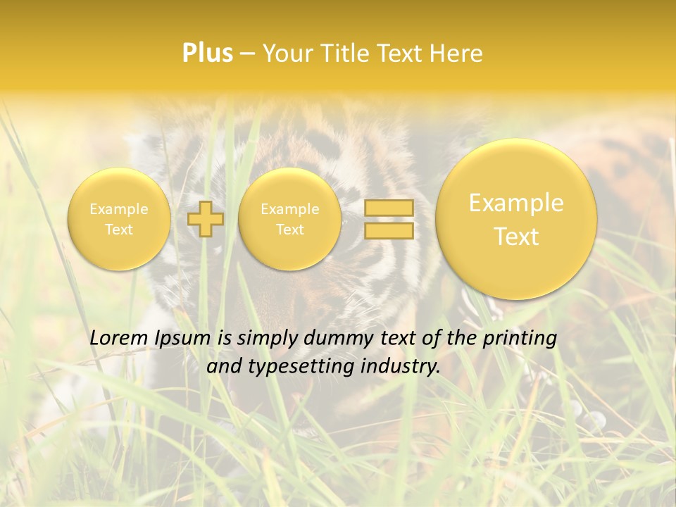 Angry Tigris Dangerous PowerPoint Template