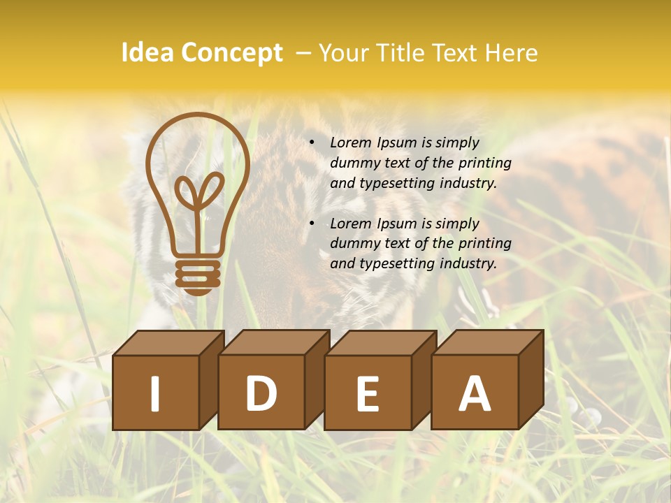 Angry Tigris Dangerous PowerPoint Template