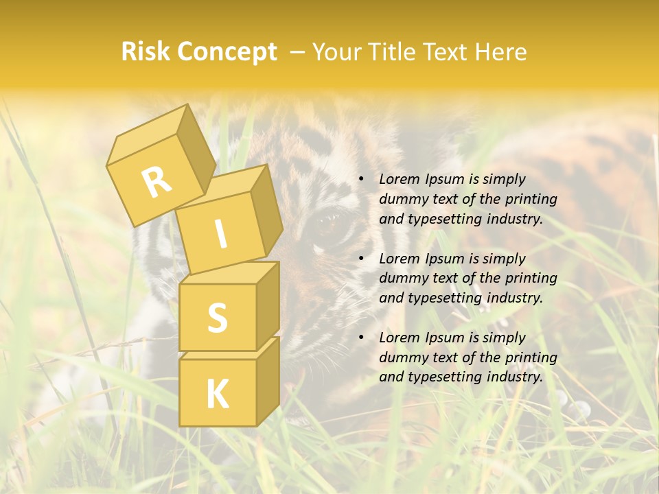 Angry Tigris Dangerous PowerPoint Template