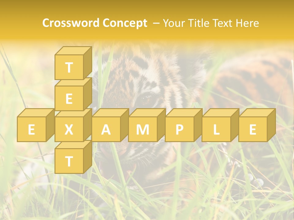 Angry Tigris Dangerous PowerPoint Template