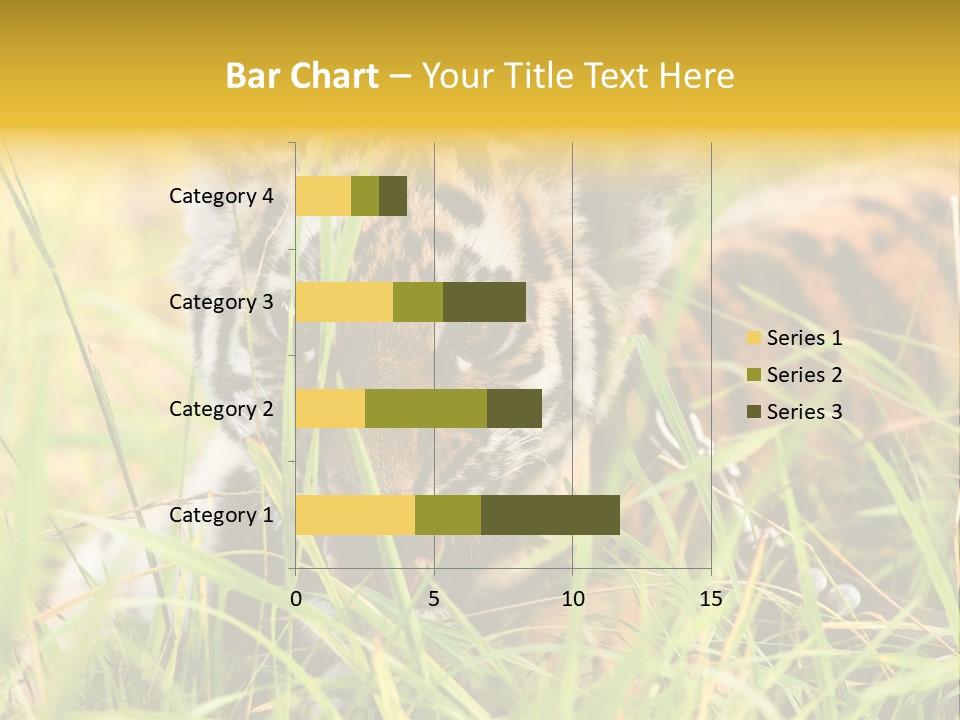 Angry Tigris Dangerous PowerPoint Template