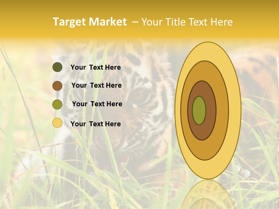 Angry Tigris Dangerous PowerPoint Template