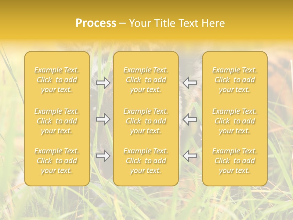 Angry Tigris Dangerous PowerPoint Template