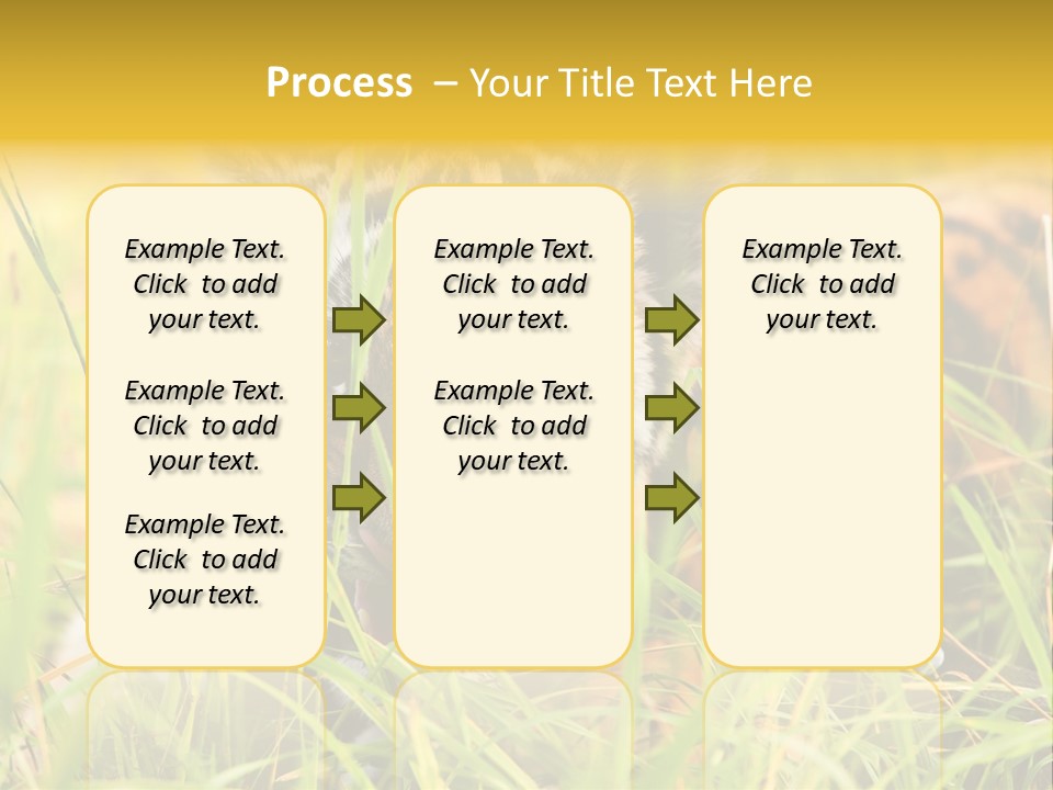 Angry Tigris Dangerous PowerPoint Template