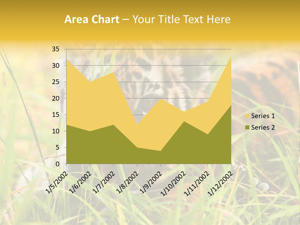 Angry Tigris Dangerous PowerPoint Template