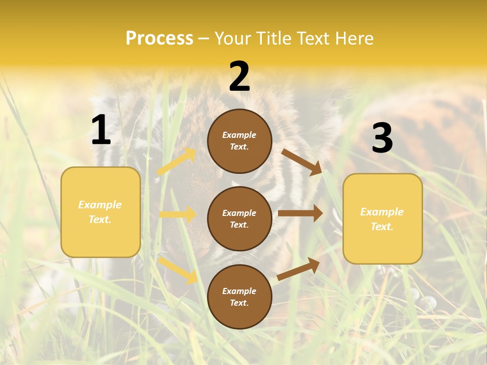 Angry Tigris Dangerous PowerPoint Template