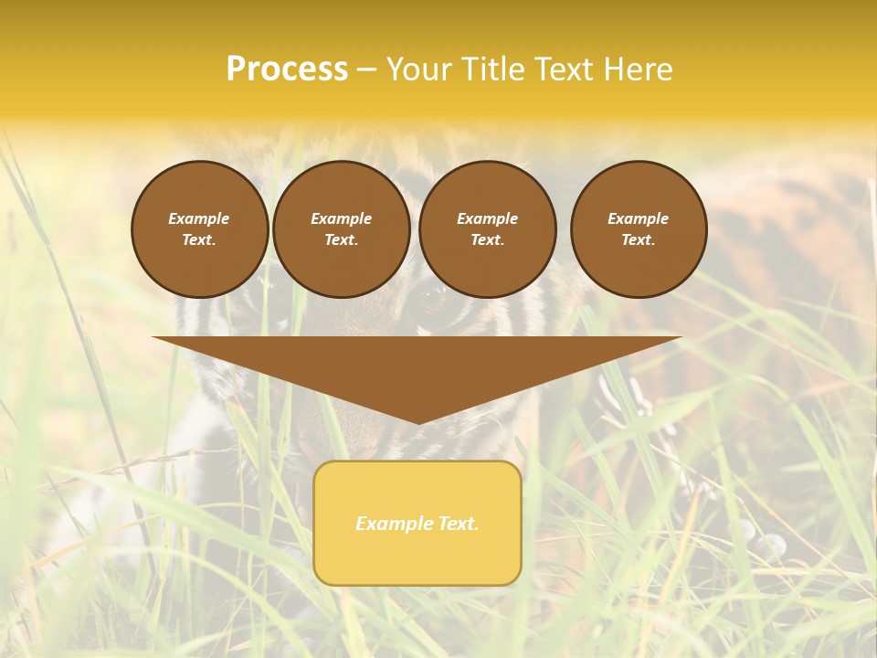 Angry Tigris Dangerous PowerPoint Template