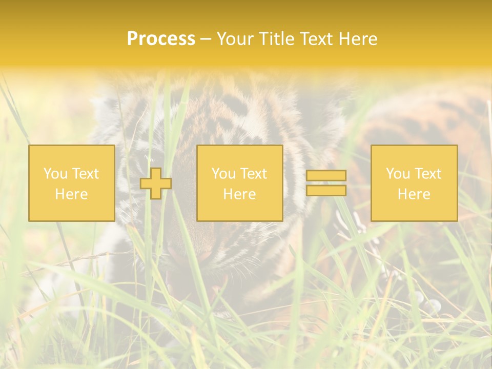 Angry Tigris Dangerous PowerPoint Template