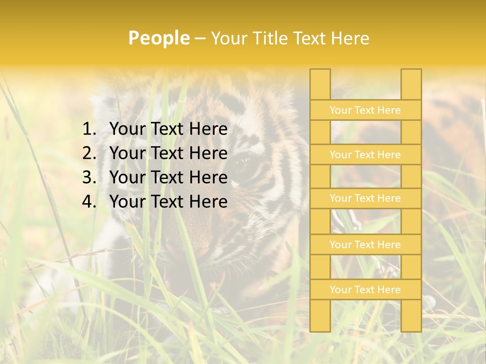 Angry Tigris Dangerous PowerPoint Template