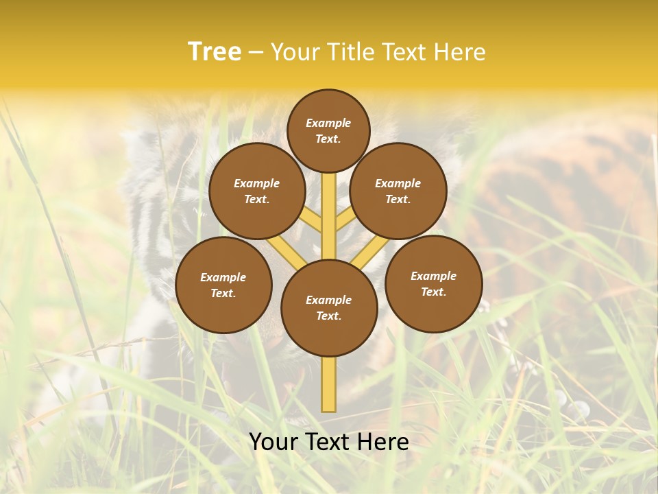 Angry Tigris Dangerous PowerPoint Template