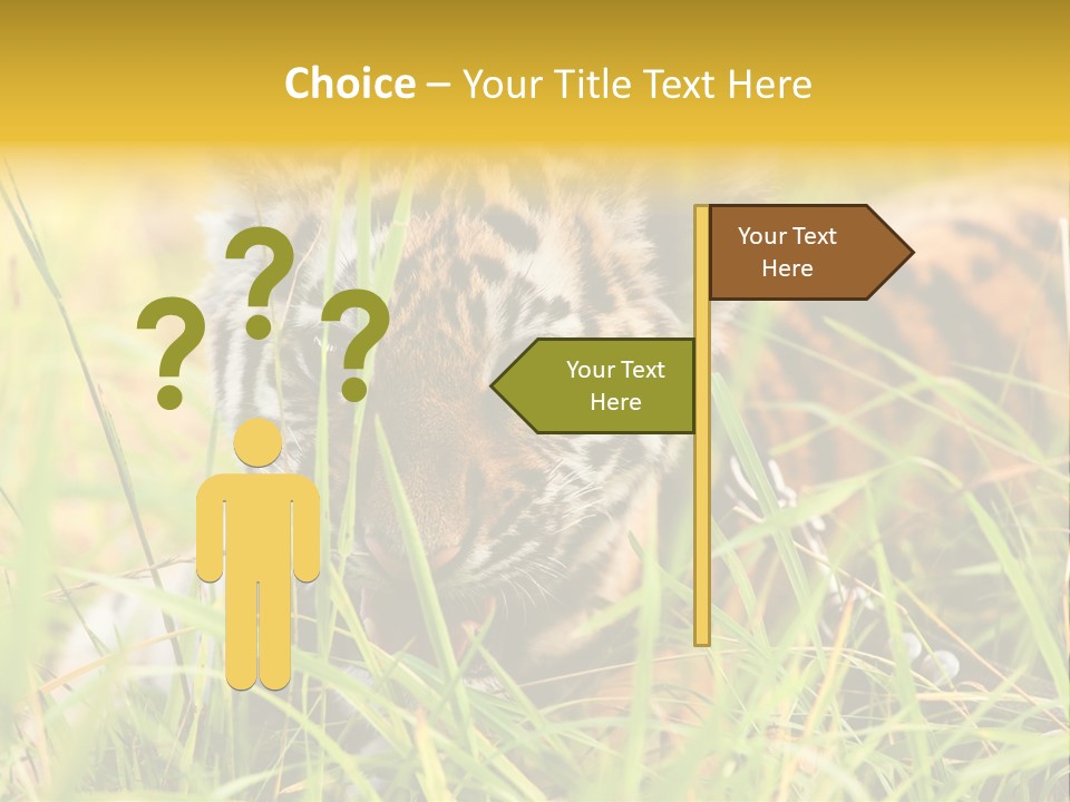 Angry Tigris Dangerous PowerPoint Template