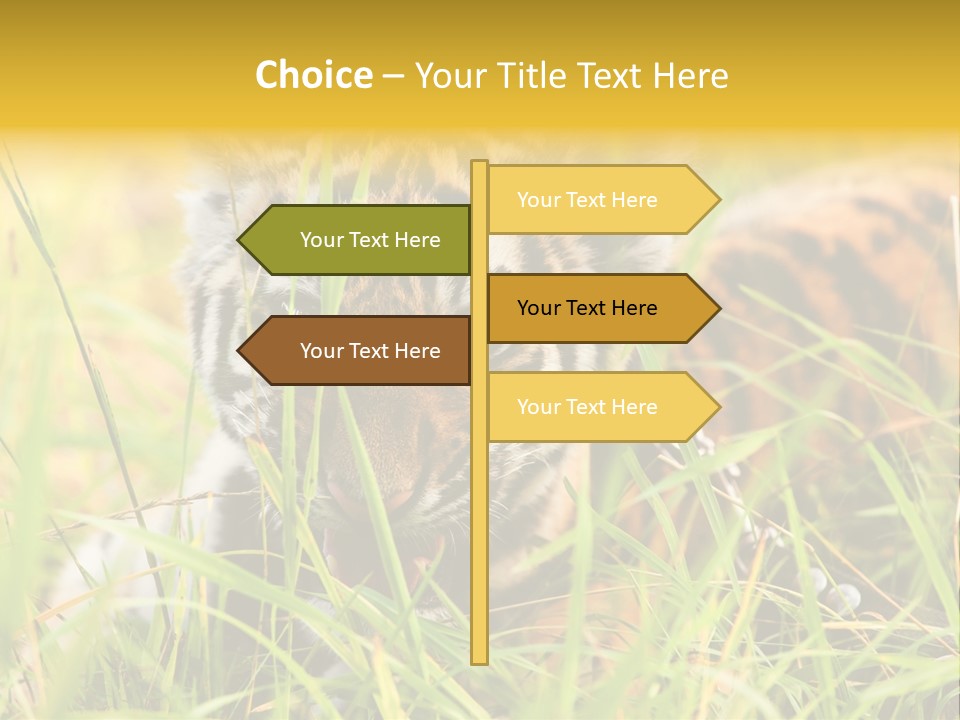 Angry Tigris Dangerous PowerPoint Template
