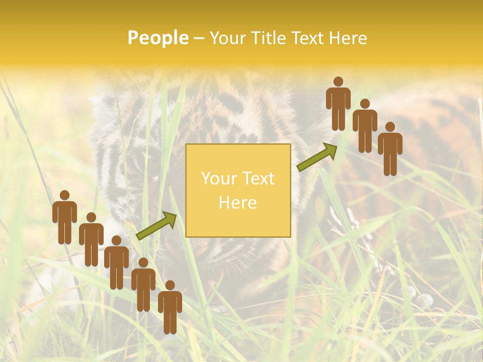 Angry Tigris Dangerous PowerPoint Template