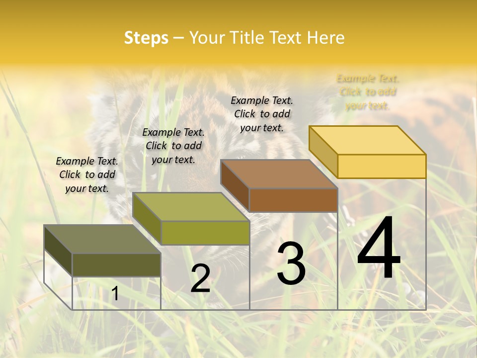 Angry Tigris Dangerous PowerPoint Template