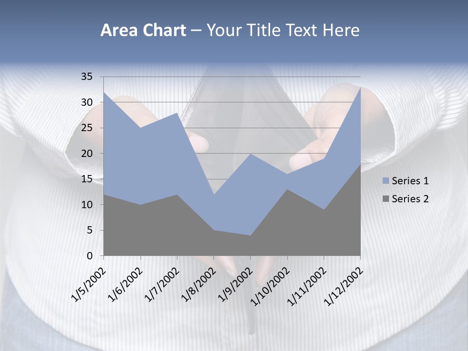 Problem Purse Wallet PowerPoint Template