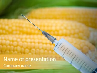 Research Transgenic Researcher PowerPoint Template