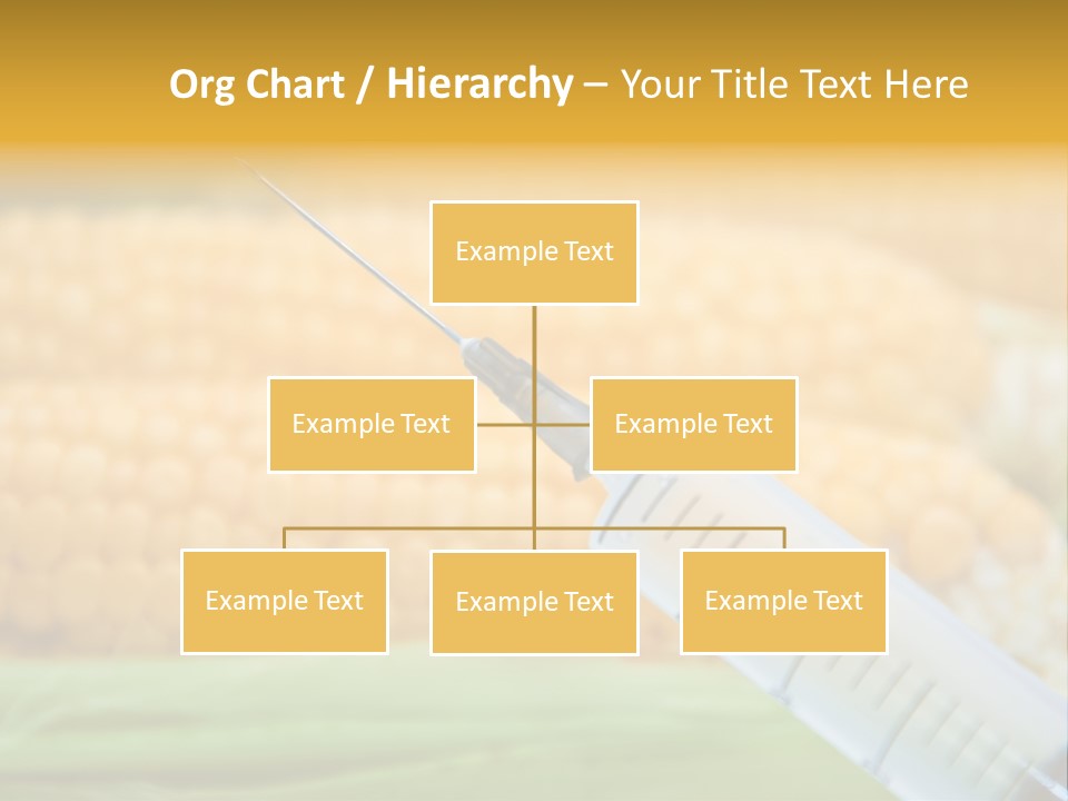 Research Transgenic Researcher PowerPoint Template