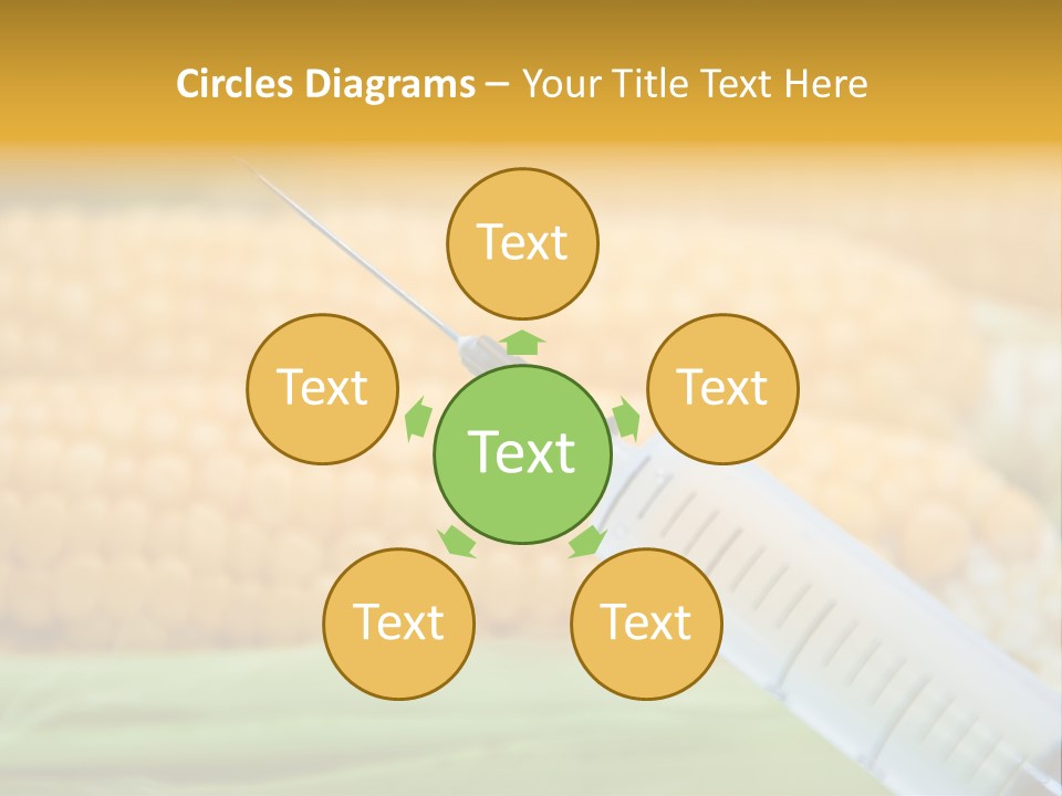 Research Transgenic Researcher PowerPoint Template