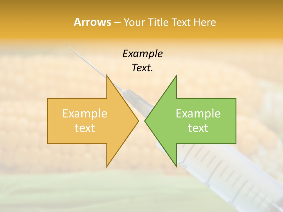 Research Transgenic Researcher PowerPoint Template