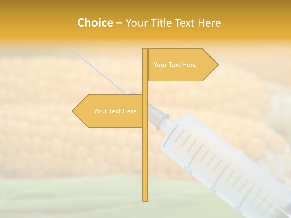 Research Transgenic Researcher PowerPoint Template