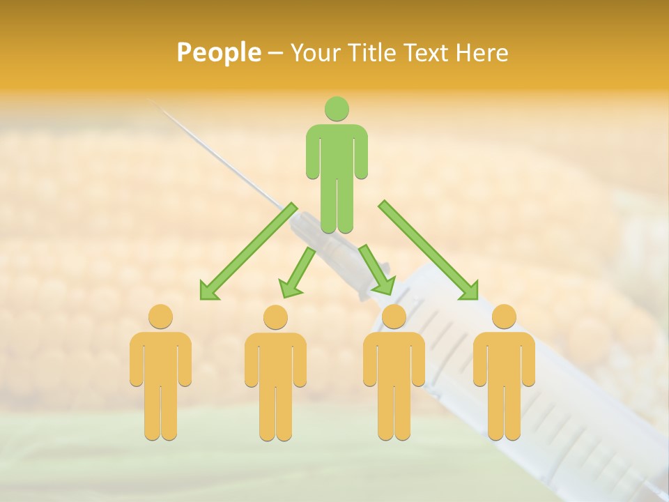 Research Transgenic Researcher PowerPoint Template
