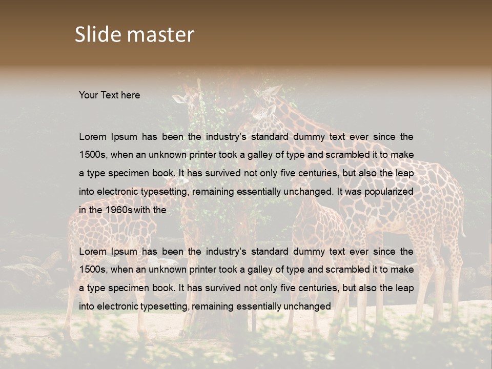 Giraffa Sky Long PowerPoint Template