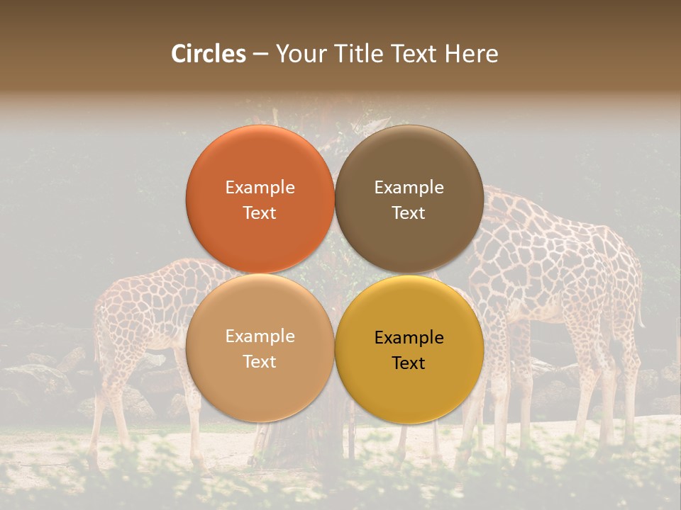 Giraffa Sky Long PowerPoint Template