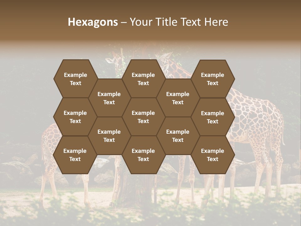 Giraffa Sky Long PowerPoint Template