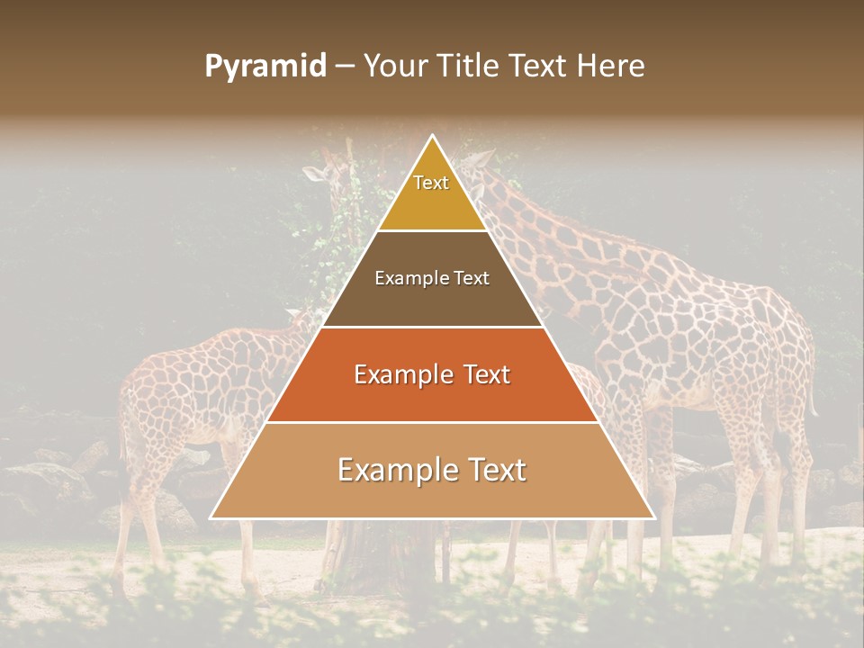 Giraffa Sky Long PowerPoint Template