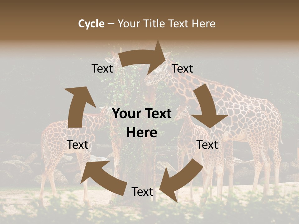Giraffa Sky Long PowerPoint Template