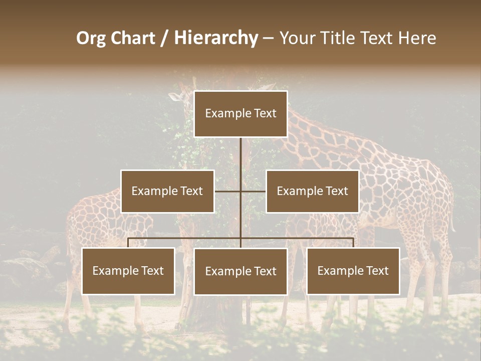 Giraffa Sky Long PowerPoint Template