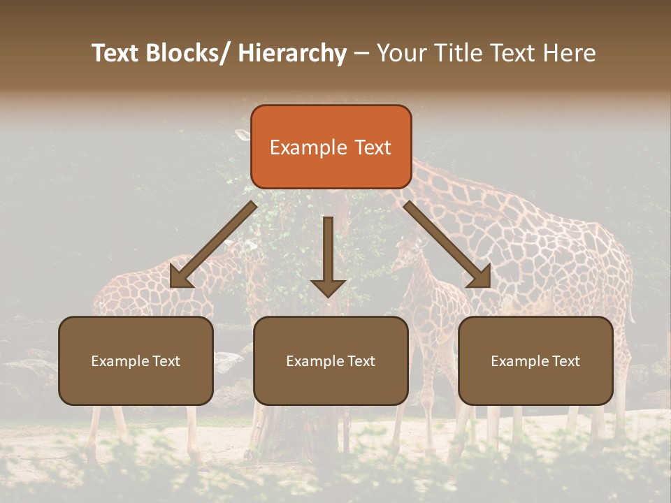 Giraffa Sky Long PowerPoint Template