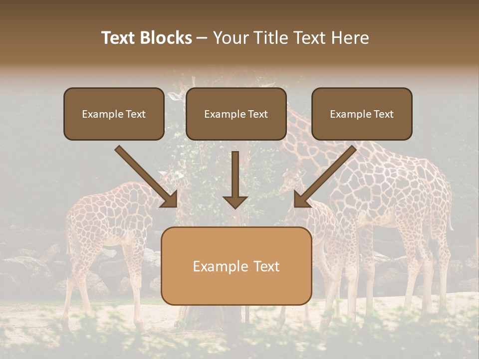 Giraffa Sky Long PowerPoint Template