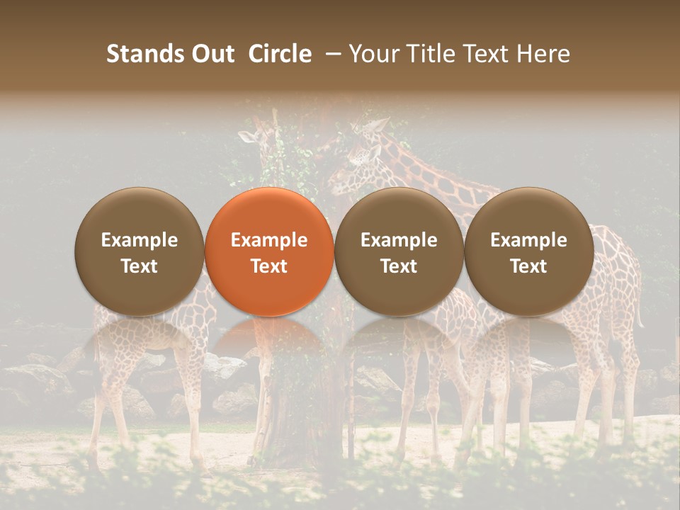 Giraffa Sky Long PowerPoint Template