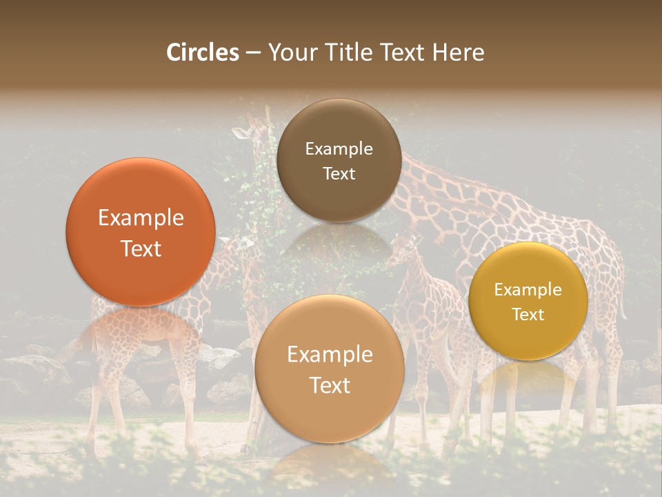Giraffa Sky Long PowerPoint Template