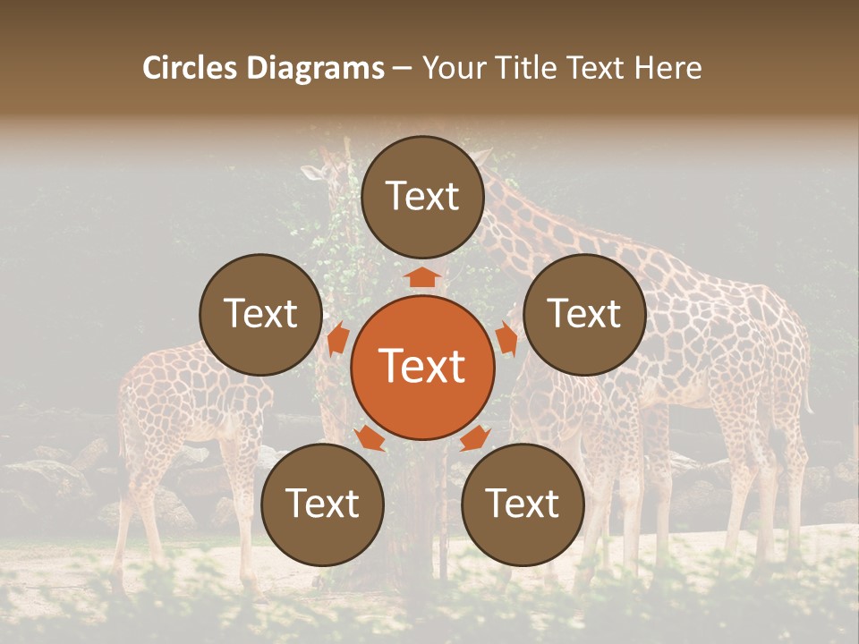 Giraffa Sky Long PowerPoint Template