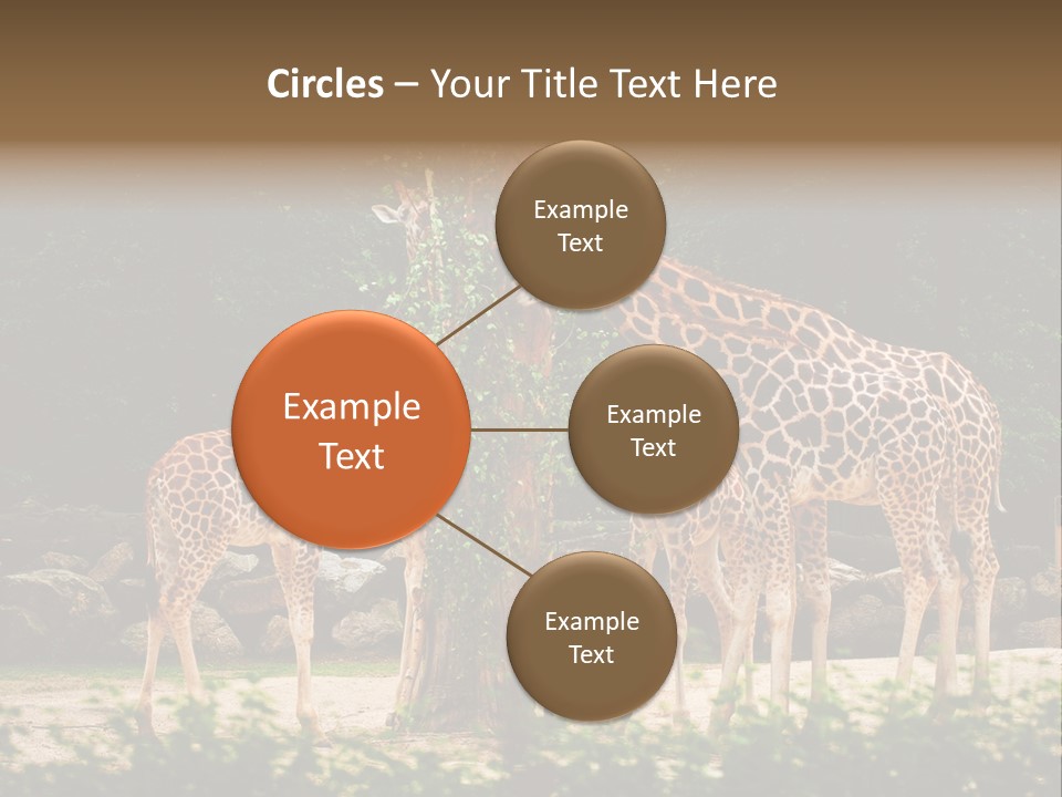 Giraffa Sky Long PowerPoint Template