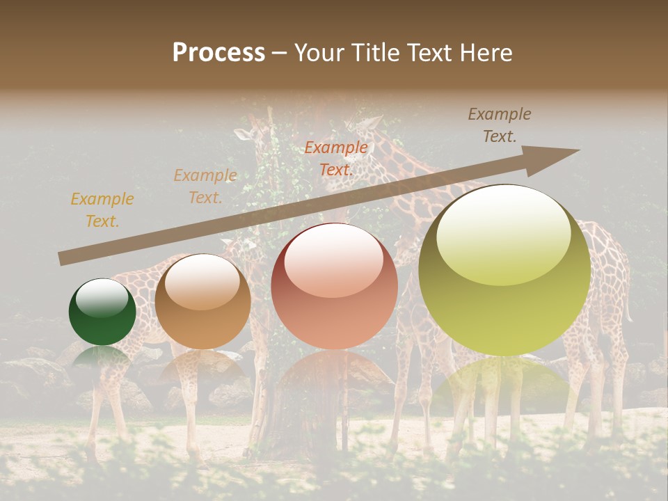 Giraffa Sky Long PowerPoint Template