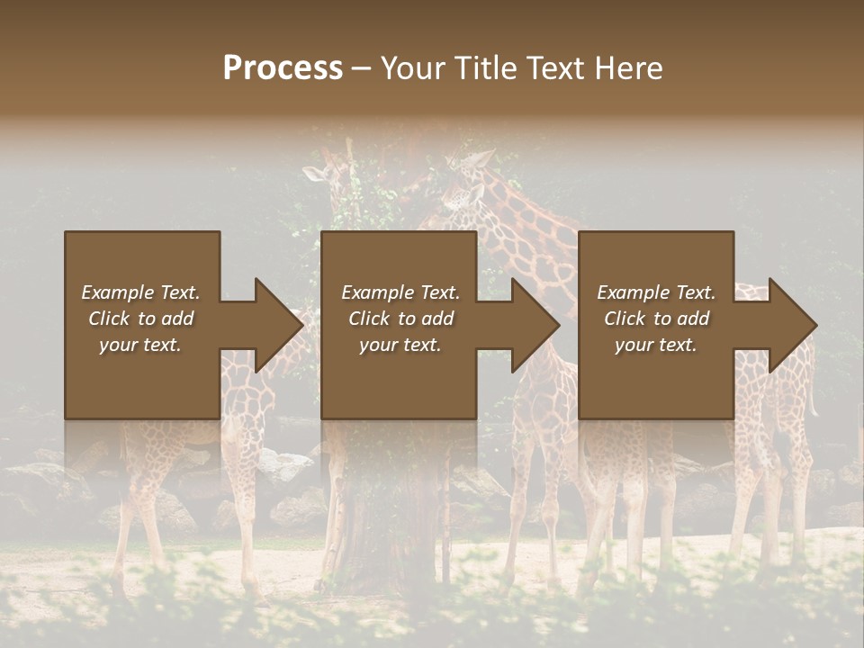 Giraffa Sky Long PowerPoint Template