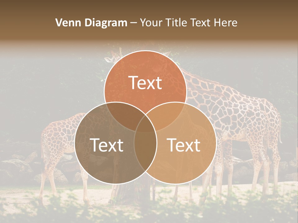 Giraffa Sky Long PowerPoint Template