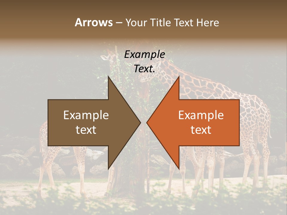 Giraffa Sky Long PowerPoint Template
