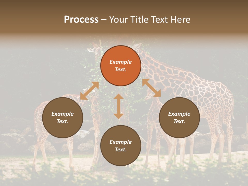 Giraffa Sky Long PowerPoint Template